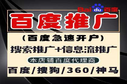 竞价排名成功案例分享